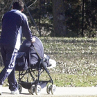 Un padre pasea a su hijo en un carrito.