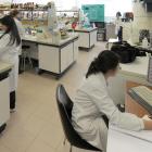 Un grupo de investigadores en uno de los laboratorios de la Facultad de Ciencias de la Universidad de Burgos.-ISRAEL L. MURILLO
