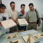 Imágenes de restos, en  primera línea fauna, obtenidos en la campaña del año 1997 en  Atapuerca.-FÉLIX ORDÓÑEZ