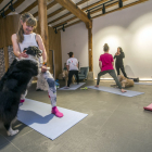Canes y dueñas disfrutaron ayer de una tarde de ‘doga’ en Urban Yoga Estudio. ISRAEL L. MURILLO