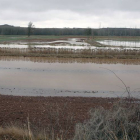 La Vega de Santa Cecilia sufrió pequeñas inundaciones durante la jornada de ayer.-MIGUEL ÁNGEL