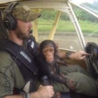 Anthony Caere llevó en su regazo a la cría de chimpancé que acababan de rescatar de los cazadores furtivos en el Congo.-ANTHONY CAERE (INSTAGRAM)