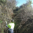 Las brigadas intervinieron el pasado año en un centenar de pueblos, al ser una de las ayudas más solicitadas por éstos.-ECB