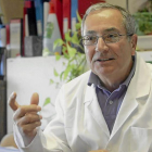 El catedrático de la Universidad de León  y miembro del comité de expertos, Elías Rodríguez Ferri, en su despacho.-BRUNO MORENO