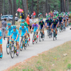 El pelotón avanza estirado en las primeras rampas de la ascensión a las Lagunas de Neila en una edición de la Vuelta a Burgos masculina. SANTI OTERO