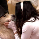 La exmodelo Elizabeth Hoad y su perro, Logan, durante su boda en directo en ’This Morning’.-YOUTUBE / THIS MORNING