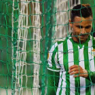 El delantero bético Rubén Castro, durante un partido en el Benito Villamarín.-Foto: AFP/ JORGE GUERRERO