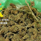 Marihuana incautada por la Guardia Civil. GUARDIA