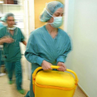 Dos profesionales sanitarias trasladan una nevera con un órgano para trasplantar.-ECB