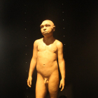 HOMO ANTECESSOR. 850.000 años. Gran Dolina. Reconstrucción de Homo antecessor en el Museo de la Evolución.