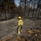 Superficie arrasada por el fuego en la zona de El Maillo. - ICAL