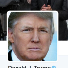 La fotografía del perfil de Donald Trump en Twitter.-EL PERIÓDICO