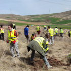 Varios voluntarios preparan el terreno para hacer la plantación. ECB