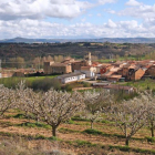 La floración de los cerezos del valle de Las Caderechas es ya visible desde las zonas bajas.-G. GONZÁLEZ