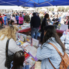 Pasar el Día del Libro en la Plaza Mayor ya es una costumbre para los burgaleses.-Raúl Ochoa