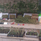 Material aprehendido por la Guardia Civil-ECB