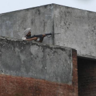 Un policía indio durante el asalto para neutralizar al grupo armado atrincherado en una comisaría.-Foto: Channi Anand / AP / CHANNI ANAND