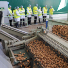 Las patatas llegan a la fábrica.-ISRAEL L. MURILLO