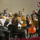 El director de la Oquesta Sinfónica de Burgos,JavierCastro, durante el concierto.-ISRAEL L. MURILLO