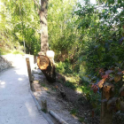 Desde que empezó el invierno han caído en esta zona tres árboles.-L. V.