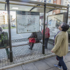 Una mujer consulta uno de los mapas de autobuses ubicado en una parada.-ISRAEL L. MURILLO