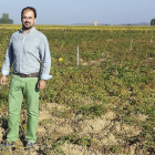 El gerente de Prodeleco, Julio Martín, en los campos de patata y los técnicos con los ensayos de nuevas variedades.-J. M.