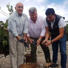 Jesús Julio Carnero, consejero de Agricultura, vendimió junto al presidente del Consejo Regulador, Enrique Pascual, en la bodega Monteabellón.-L. VELÁZQUEZ