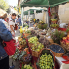 Los puestos de frutas, verduras y legumbres fueron uno de los grandes protagonistas de la jornada.-G. G.