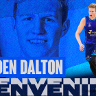 Hayden Dalton ficha por el Hereda San Pablo Burgos. ECB