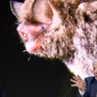 El príncipe Guillermo y David Attenborough en el Foro Económico Mundial de Davos.-FABRICE COFFRINI (AFP)