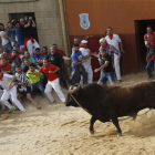 Salida del Toro enmaromado 2016, Pitarroso.-ICAL