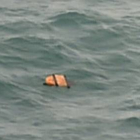 Restos del avión de AirAsia hallados en el mar de Java-Foto: AFP/ BAY ISMOYO