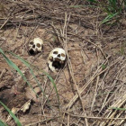 En 2018, hubo más de 33.000 asesinatos en el país, la mayoría de los cuales estaban relacionados con el crimen organizado.-REUTERS