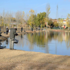 El lago del museo Pisórica es una de las novedades de la feria donde habrá también talleres de cebos, pesca y 2 acuarios.-ECB