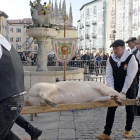 Cuatro miembros de la sociedad transportan al cerdo, de 192 kilos.-ISRAEL L. MURILLO