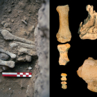 Fósiles de Amud 9. Osborjn M. Pearson y Adrián Pablos