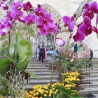 La escalinata de la Catedral, en la portada del Sarmental, será uno de los lugares más fotografiados este fin de semana.-RAÚL G. OCHOA