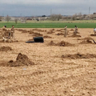 Los trabajadores de la cuadrilla, en una de las plantaciones que ha realizado la cooperativa por la provincia.-ECB