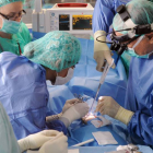 Un momento de la intervención que lideraron el martes en Burgos dos cirujanos de La Paz con el apoyo de profesionales del HUBU.-ISRAEL L. MURILLO