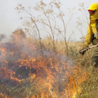 Un miembro de una cuadrilla de extinción de incendios durante una intervención.-ISRAEL L. MURILLO