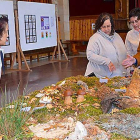 Exposición durante la segunda edición de las Jornadas Micológicas de Quintanar el año pasado.-R. F.