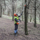 Los trabajos forestales se suelen realizar con las cuadrillas que se contratan con los planes de empleo. ISRAEL L. MURILLO