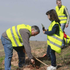 La plantación protagonizada por los vecinos de la Barriada Yagüe trata de estrechar lazos entre asociaciones y fomentar la vida sostenible.-RAÚL G. OCHOA