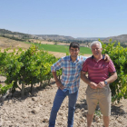 Javier Vallejo, padre e hijo, en el viñedo del pago de Guademella, con Tórtoles de Esgueva al fondo. En las fotos pequeñas, casona que acoge la bodega, sala de crianza y otra de los viñas familiares-I. M.