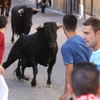 Los novillos de la ganadería Coquilla de Sánchez Arjona, protagonizan el primer encierro de Cuéllar (Segovia)-Ical