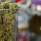 De Jong, ganó más de 40 millones de euros mediante el tráfico de cannabis a España, Italia e Inglaterra.-FREDERIC J BROWN