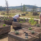Un grupo de voluntarios realiza labores de jardinería.-ECB