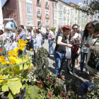 La Fiesta de las Flores celebrada el pasado año tuvo como gran aliado el buen tiempo.-RAÚL OCHOA