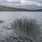 El embalse de Arlanzón se encontraba ayer ya repleto, al 100% de su capacidad.-I. L.M.