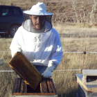 Jesús Montes con sus colmenas en las inmediaciones de Almanza (León)donde produce su miel.-E.M.